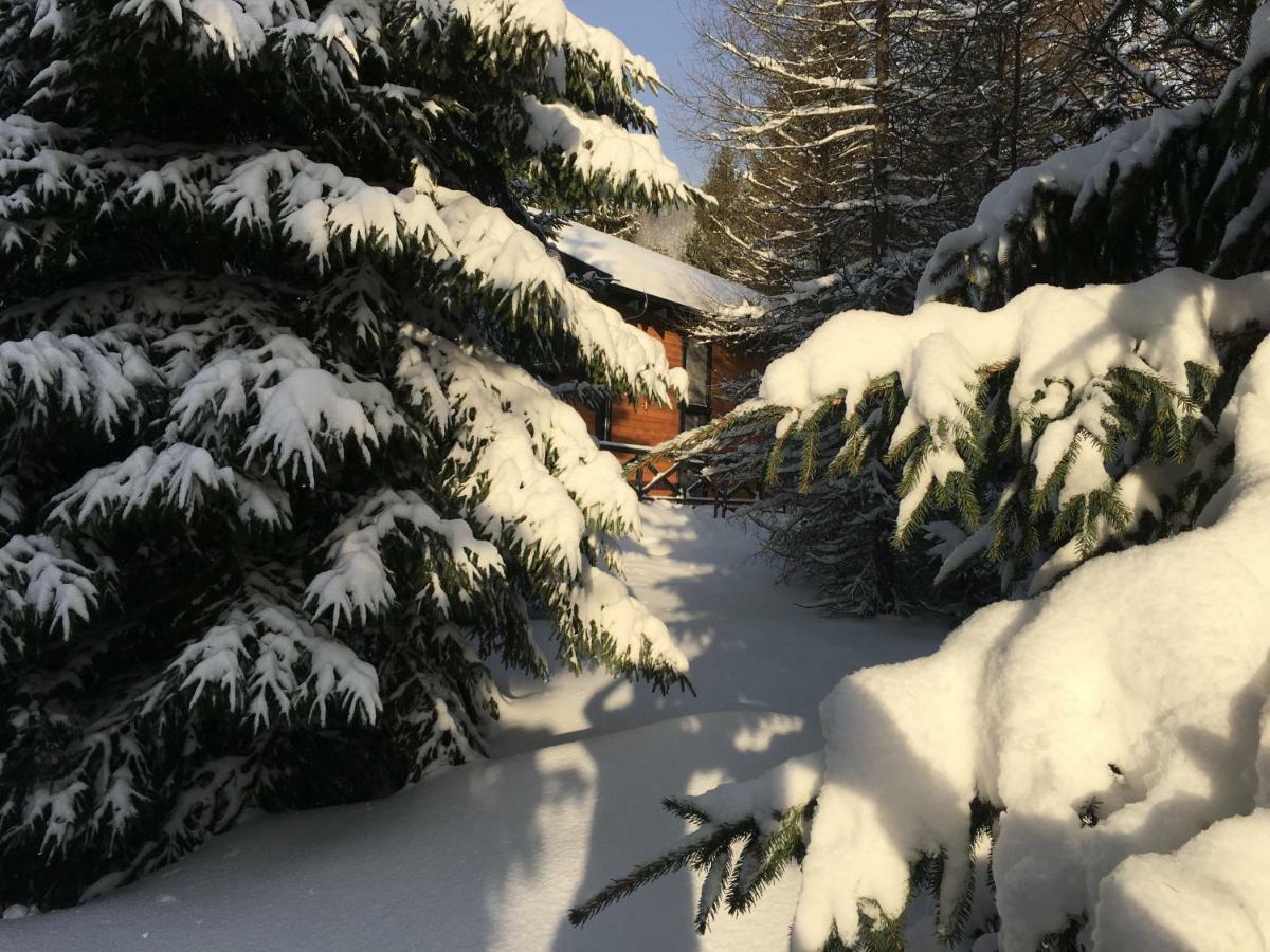 Chalet Račkova dolina Pribylina Exteriér fotografie